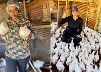 Makeup, meat and manure: Chicken queen Mpapayeli does it all!