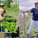 Soil to shelf: Sidzumo turned hardship and hunger into hope