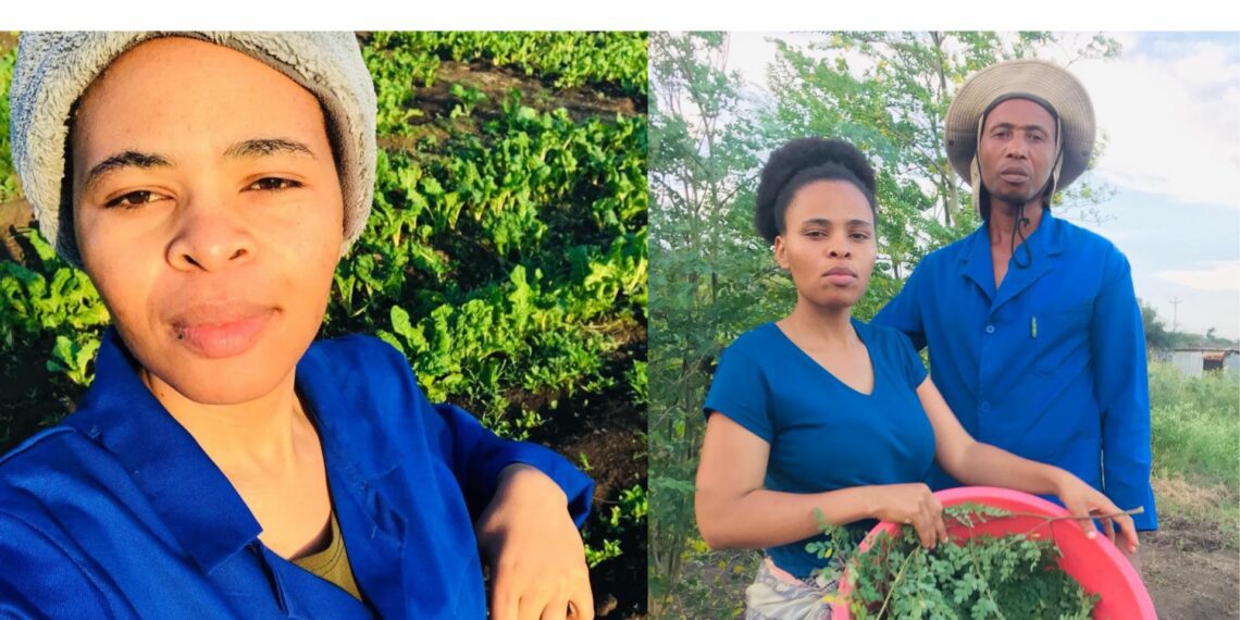 Moringa is the focus of Mbali Sithole and Dumisani Biyela's business, and they aim to leverage the versatility of the plant by supplying a wide range of products made from it. Photo: Supplied/Mbali Sithole