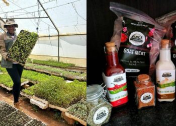Agripreneur: From farm to table, Mfusi breaks barriers