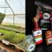 Agripreneur: From farm to table, Mfusi breaks barriers