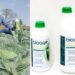 AgriPreneur: Plant magician uses science to help farmers