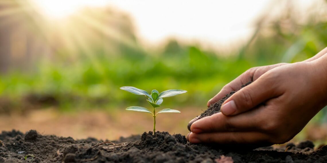 Jason Sparrow, agricultural specialist at Kynoch Fertilizers, recommends regular use of organic fertilisers as a top method for ensuring optimal soil nutrient levels.Photo:Supplied/Food For Mzansi