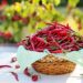 Wild or mild? Explore the fiery appeal and risks of spicy foods