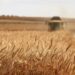 Proper planning is the blueprint for agricultural success