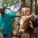 Biosecurity battles: SA’s agriculture sector needs to act now