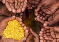 Food is available, but can everyone access it? North West grapples with hidden dimensions of food insecurity. Photo: Supplied/Food For Mzansi