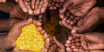Food is available, but can everyone access it? North West grapples with hidden dimensions of food insecurity. Photo: Supplied/Food For Mzansi