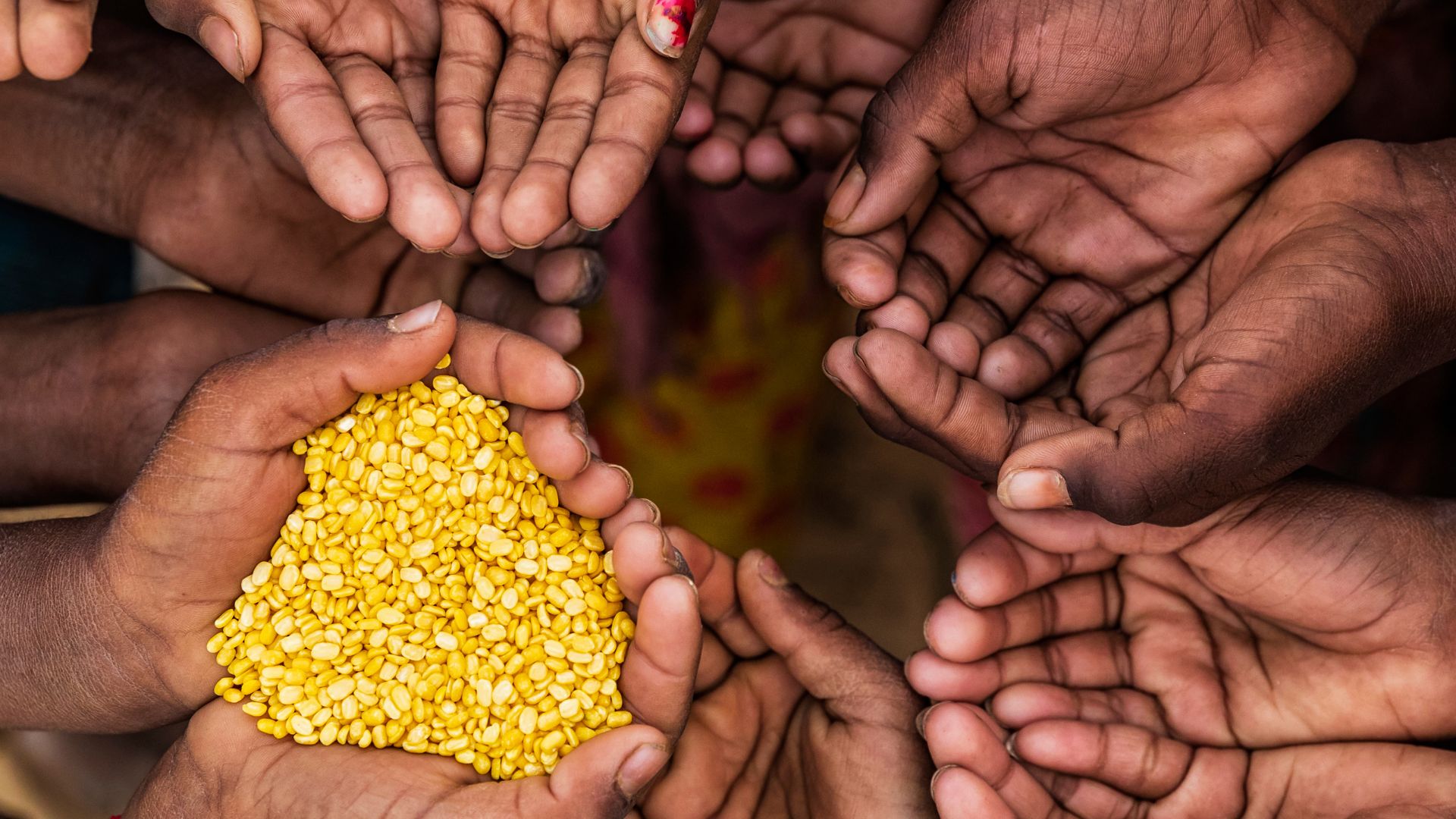 Hunger crisis: SAHRC demands action on food affordability