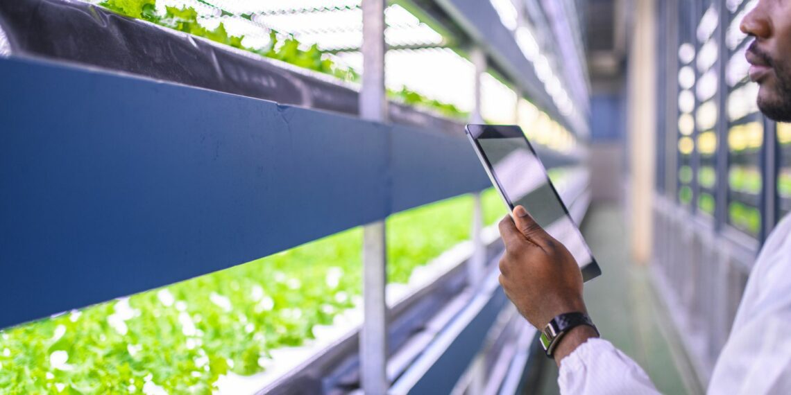 InteliGro bolsters its agricultural prowess with the integration of InteliSeed, expanding its seed offerings and enhancing its commitment to sustainable crop solutions in South Africa and Namibia. Photo: Supplied/Food For Mzansi