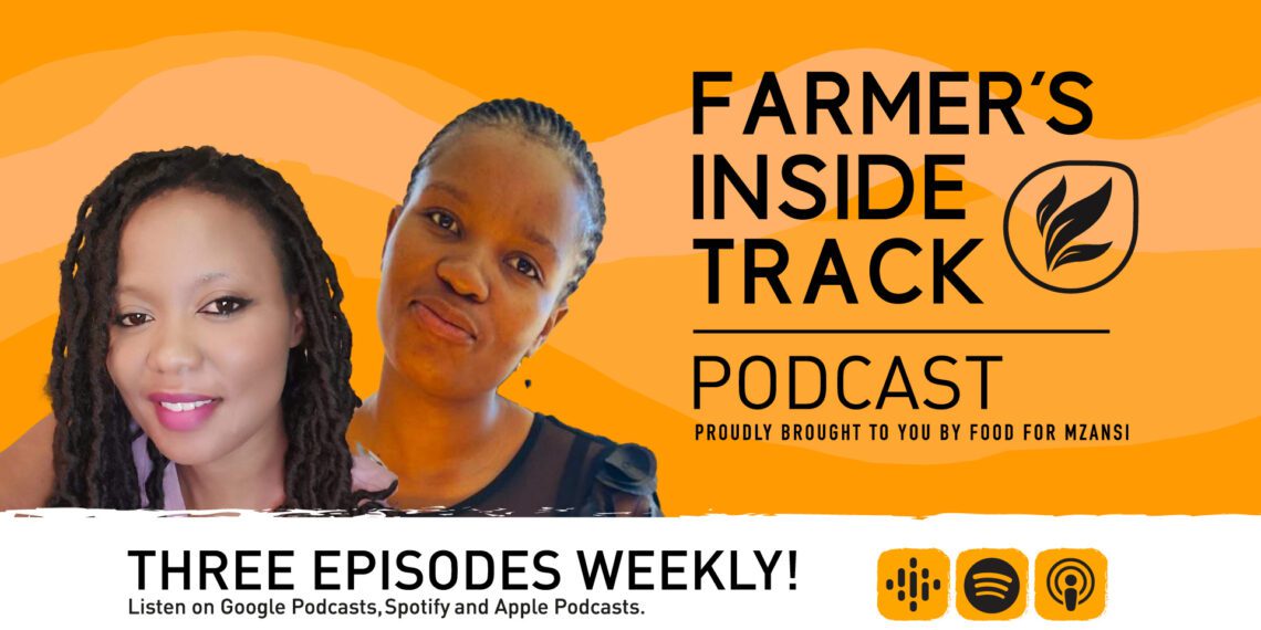 Wendy Moshakga and Mologadi Madisha, the driving force behind Sisters In Farming. Photo: Food For Mzansi