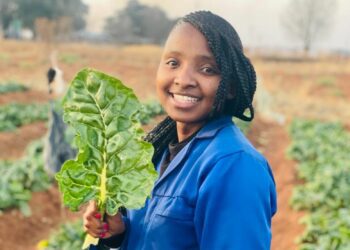 Farming with heart: Ncongwane’s hands-on approach pays off