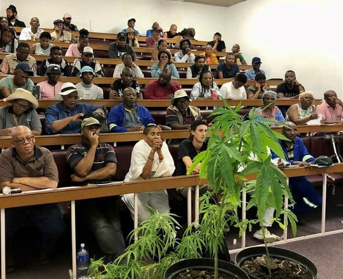 Training Force and Cheeba Cannabis Training have joined forces to educate and empower 100 local farmers in the Eastern Cape. Photo: Supplied/Food For Mzansi