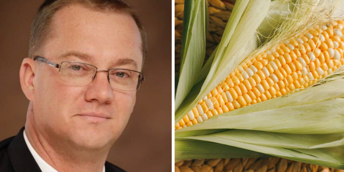 Free State Agriculture marks 120 years of advocating for farmers and promoting agricultural sustainability. CEO Gernie Botha discusses their vision for the future. Photo: Supplied/Food For Mzansi