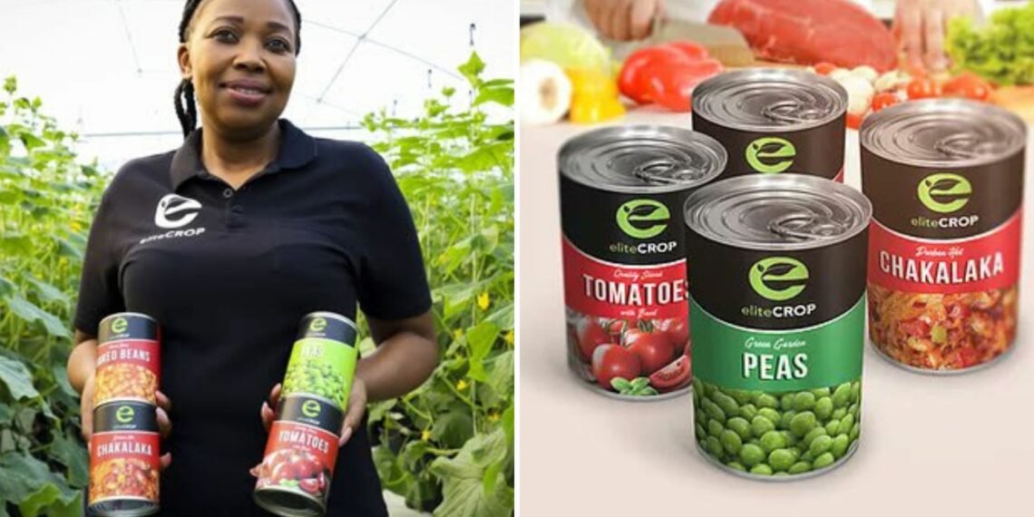 Ntando Thusini from Pinetown, KwaZulu-Natal, started small by growing cucumbers and green peppers in a hydroponic tunnel. Her current farming operations cover 14 hectares. Photo: Supplied/Food For Mzansi