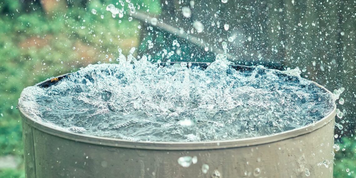 South African farmers face a strict 23 July 2026 deadline to register and update all commercial water use details with the department of water and sanitation (DWS), or risk severe legal penalties. Photo: Supplied/Food For Mzansi