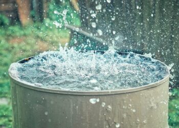 Harnessing the power of passive rainwater harvesting