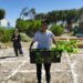Triangle Project: Food gardens flourish in LGBTQI+ communities