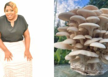 Disability is no barrier for bold mushroom farmer Nkalanga