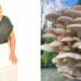 Disability is no barrier for bold mushroom farmer Nkalanga