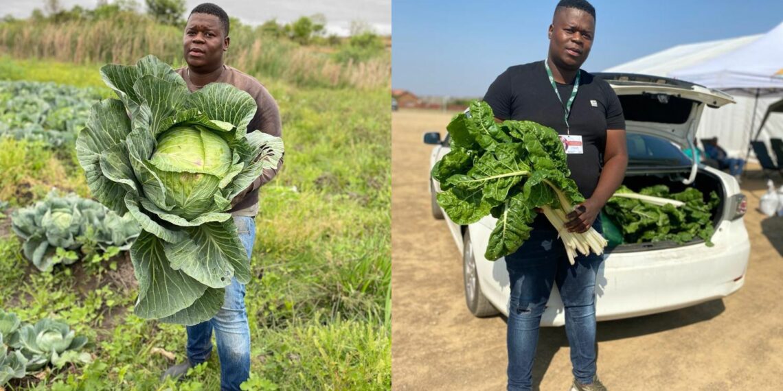 According to Sanele Mathebula, the key to New-style farming is blending traditional and modern techniques in a thoughtful and balanced manner.
Photo: Supplied/Sanele Mathebula.