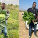 Starting small put Mathebula on a path to prosperity