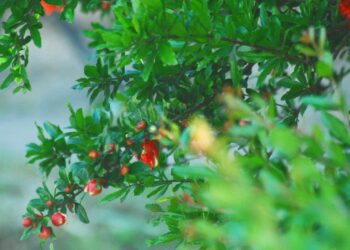 This week’s agri events: 25 – 29 March