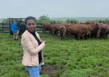 Ngwane’s journey from reluctant law student to farming advocate