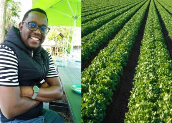 Sustainable agriculture a passion for green warrior Majaha
