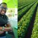 Sustainable agriculture a passion for green warrior Majaha