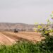 Drought and decline: Agriculture sector faces uphill battle