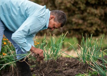 Biological farming: A holistic approach to food production