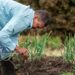 Biological farming: A holistic approach to food production
