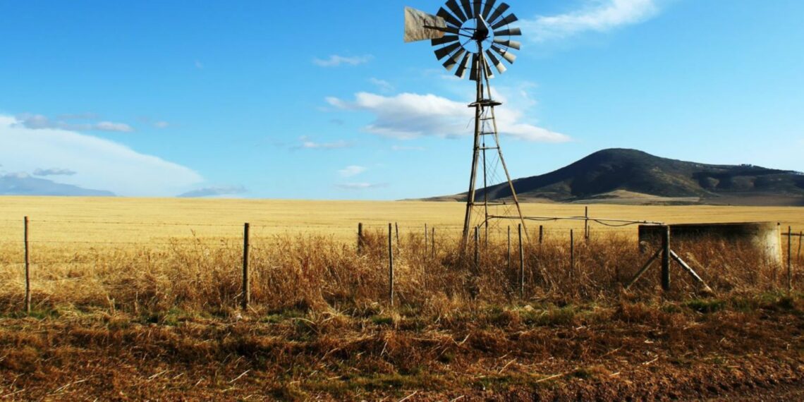 The Women in Farming programme focuses not only on theoretical training but also on building practical skills, confidence, and capacity among participants. Photo: Supplied/Food For Mzansi