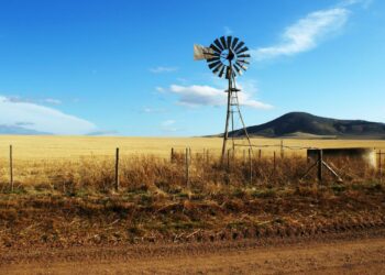 Seeds of change: Sibisi’s empowering farming journey