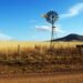 Seeds of change: Sibisi’s empowering farming journey