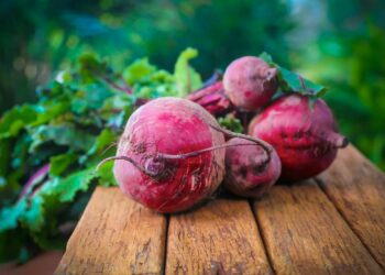 Grow and unlock beetroot’s nutritional power
