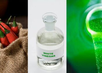 Protect your plants naturally with homemade solutions