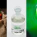 Protect your plants naturally with homemade solutions