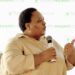Minister Thoko Didiza said her five-year-term as the minister of agriculture has been successful amid the many challenges the sector was faced with. Photo: Leon Barnardt/Food For Mzansi