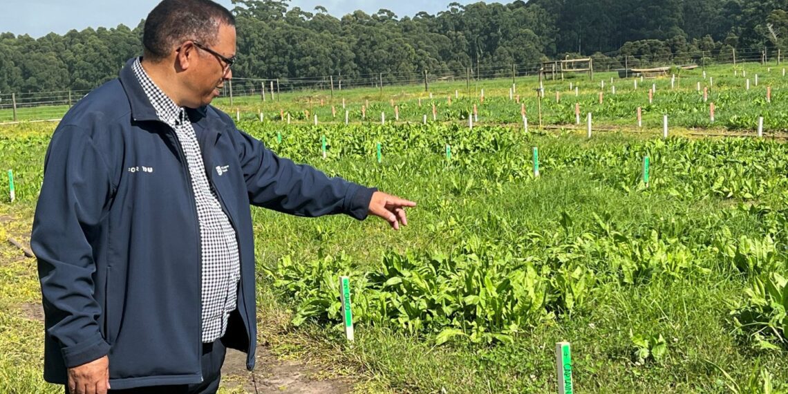 Western Cape minister of agriculture, Dr Ivan Meyer, gets a first-hand look at work done at the Outeniqua research farm. Photo: Supplied/Food For Mzansi
