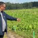 Western Cape minister of agriculture, Dr Ivan Meyer, gets a first-hand look at work done at the Outeniqua research farm. Photo: Supplied/Food For Mzansi