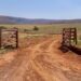 Bronwynn Engelbrecht, the DA’s Gauteng shadow MEC for agriculture and rural development, underscores the crucial link between farmers’ safety, poverty alleviation, employment creation, environmental stewardship, and ultimately, food security. Photo: Supplied/Food For Mzansi