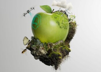 In addition to promoting biodiversity above ground, Farming for the Future champions the importance of healthy soil as the cornerstone of a resilient food system. Photo: Supplied/Food For Mzansi