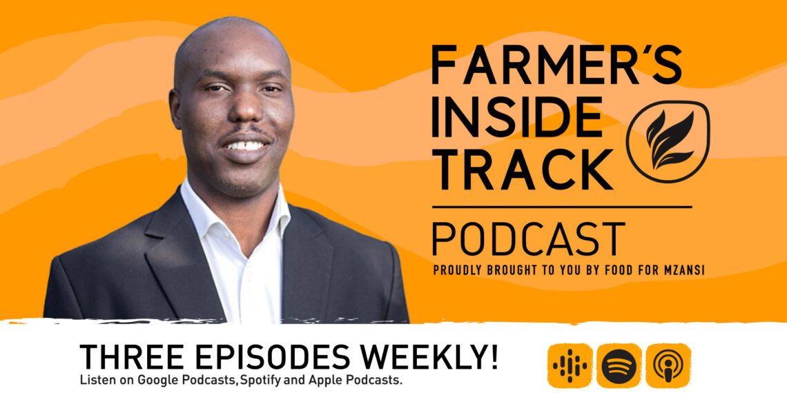 Norman Dlamini, business development director at Forestry South Africa. Photo: Food For Mzansi