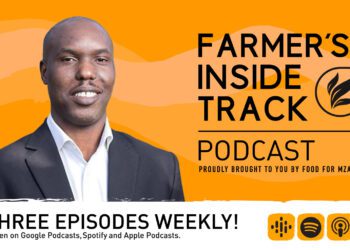 Soil health: Understanding the essentials for crop success