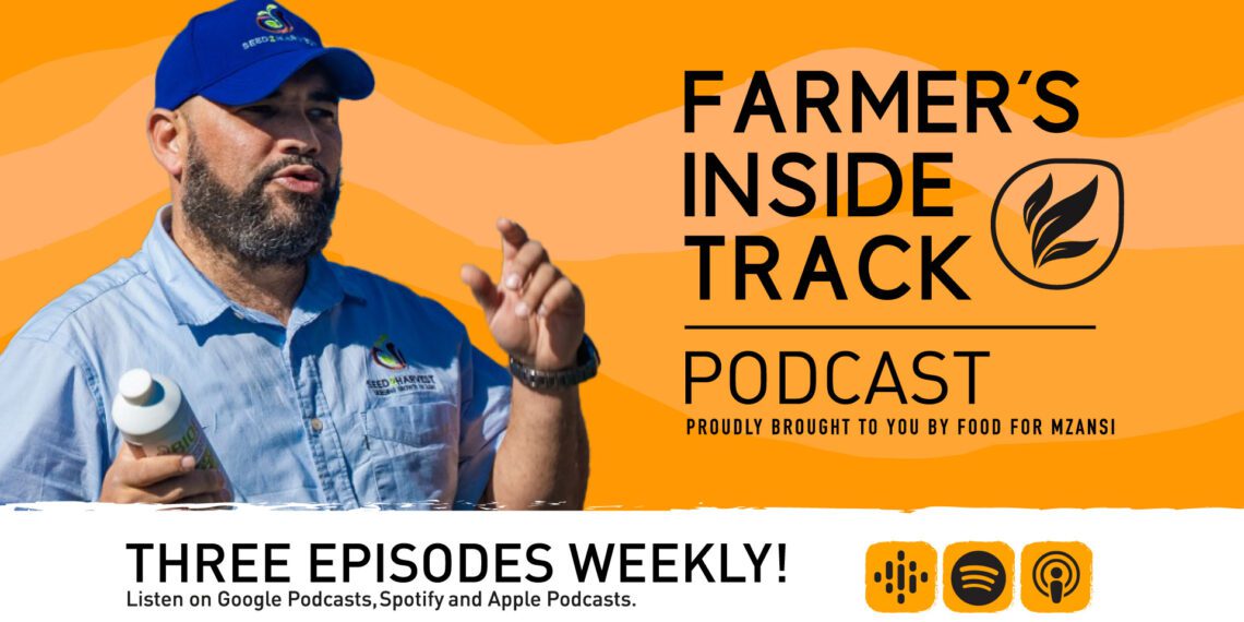 Dive into the inspiring journey of Seed 2 Harvest and Shaun Cairns as they cultivate not just gardens but communities. Photo: Food For Mzansi
