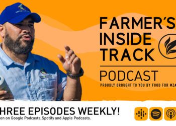 How to choose prime beef heifers for farm success
