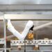 The future of food: Prepare for burger-flipping robots