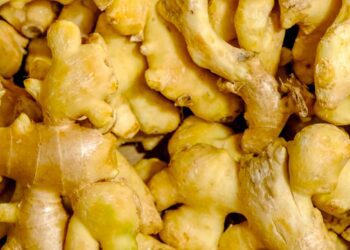 Mycotoxins: How hazardous mould contaminate food staples